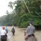 Retire Like Royalty – The Advantages of Costa Rica Cost of Living