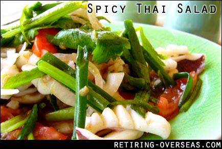 Spicy Thai Salad Photo
